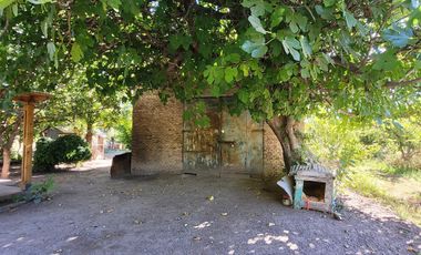 Venta Chacra  con Residencia y Galpón 3,5 has Allen. R Negro