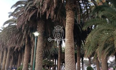 Local Comercial en Venta en Entre la Concepción y Los Eucaliptos