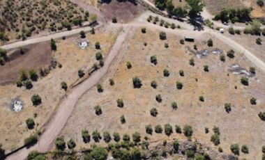 VENTA PARCELA 5000 MT2 RINCONADA DE LOS ANDES