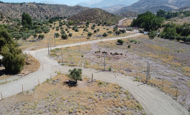VENTA PARCELA 5000 MT2 RINCONADA DE LOS ANDES
