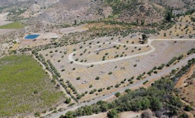 VENTA PARCELA 5000 MT2 RINCONADA DE LOS ANDES