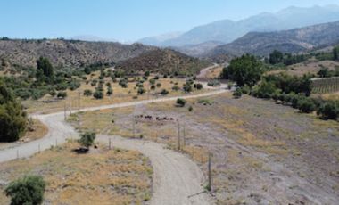 VENTA PARCELA 5000 MT2 RINCONADA DE LOS ANDES