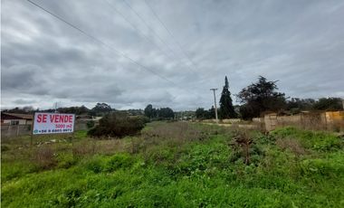 SAN CARLOS ALTO, EL TABO