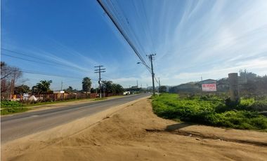 SAN CARLOS ALTO, EL TABO