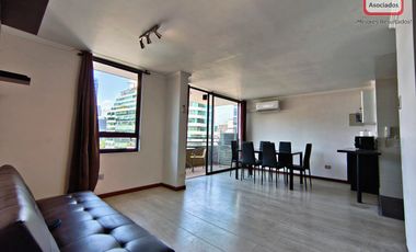 Amplio Depto en Arriendo 1 Dorm Estacionamiento y Bodega