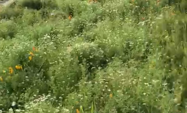 Tu Parcela HUECHURABA  a 15 min de Todo!!!!! 2.500m2
