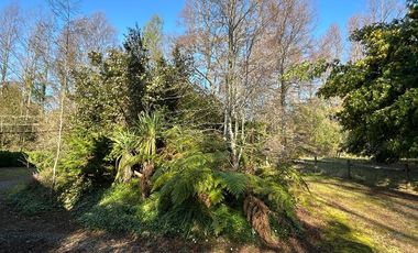 Casa con Recepción Municipal- Villarrica