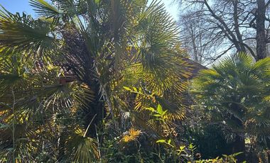 Casa con Recepción Municipal- Villarrica