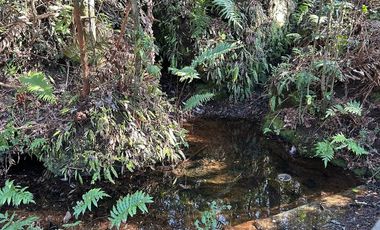 Casa con Recepción Municipal- Villarrica