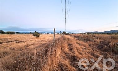 Agrícola en Venta en Vende Lote A7 Peralillo