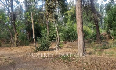 Hermosa y recién remodelada propiedad en Sector El Principal