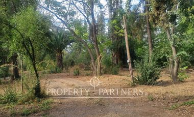 Hermosa y recién remodelada propiedad en Sector El Principal