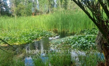 Hermosa y recién remodelada propiedad en Sector El Principal