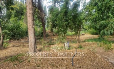 Hermosa y recién remodelada propiedad en Sector El Principal