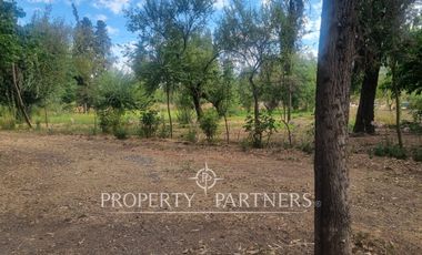 Hermosa y recién remodelada propiedad en Sector El Principal