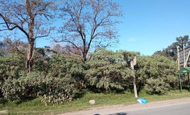 Terreno - Ministro Rivadavia