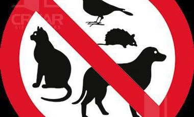 ALQUILO EXCLUSIVO Departamento 1 DORMITORIO - General Paz