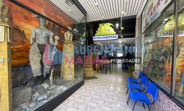 LOCAL CON DEPOSITO DE 720 M² - VILLA CRESPO