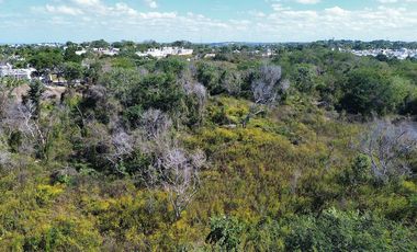 Terreno ideal para INFONAVIT en Samula