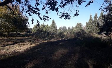 Terreno - San Vicente