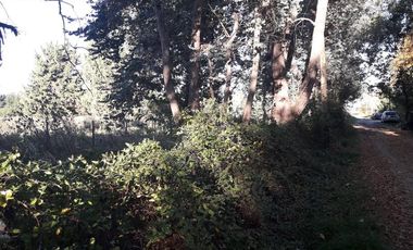 Terreno - San Vicente