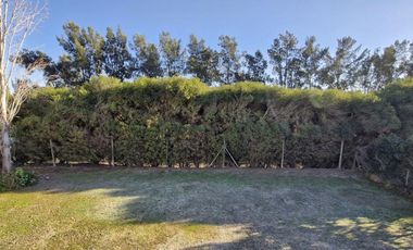 Casa en alquiler en Los Sauces, Nordelta