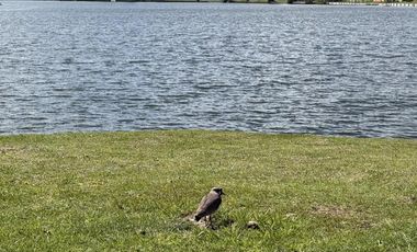 Terreno en  Venta de 1.000m2 en Barrio San Sebastián (Escobar), FRENTE a la LAGUNA , en AREA 1