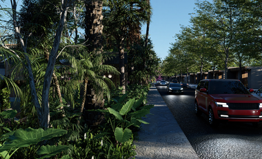 Terreno en Venta en Xenit, Seye