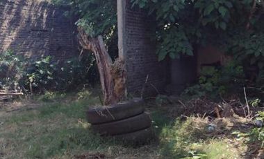 SANTILLI - SANTIAGO DEL ESTERO 721  - Jose Marmol