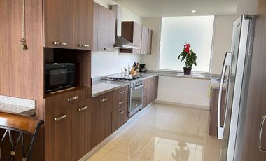 Renta Bosque real Orun