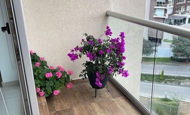 Renta Bosque real Orun