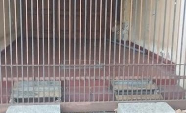 SANTILLI - JUNCAL 1242 TEMPERLEY