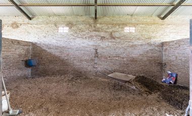 VENTA - Campo - Perez.