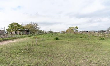 VENTA - Campo - Perez.