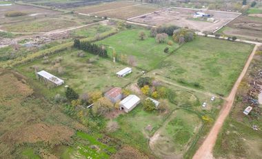 VENTA - Campo - Perez.