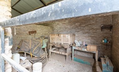 VENTA - Campo - Perez.