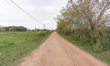 VENTA - Campo - Perez.