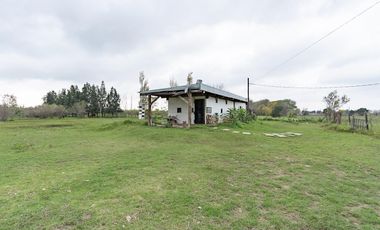 VENTA - Campo - Perez.