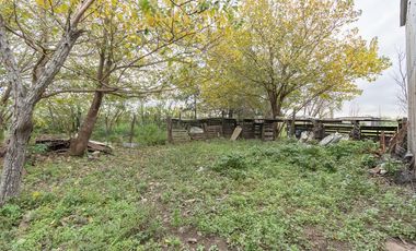 VENTA - Campo - Perez.