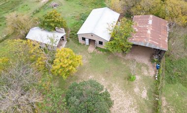 VENTA - Campo - Perez.