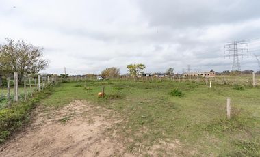 VENTA - Campo - Perez.