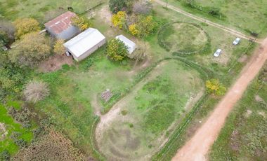 VENTA - Campo - Perez.