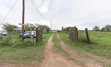 VENTA - Campo - Perez.