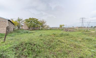 VENTA - Campo - Perez.