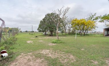 VENTA - Campo - Perez.