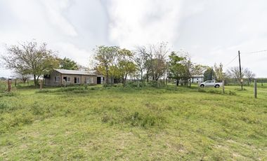 VENTA - Campo - Perez.