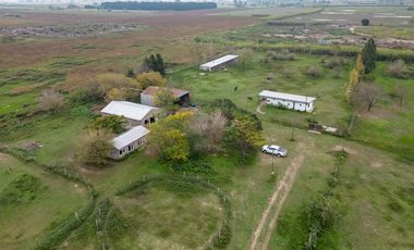 VENTA - Campo - Perez.