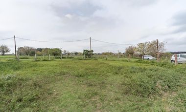 VENTA - Campo - Perez.