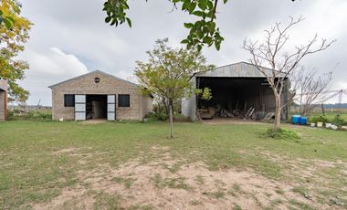 VENTA - Campo - Perez.