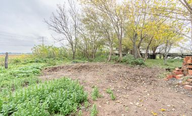 VENTA - Campo - Perez.